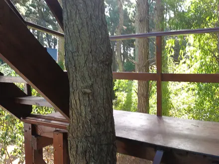 Alquiler temporario de departamento en Mar de las pampas