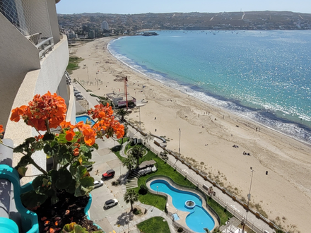 Arriendo temporario de departamento en Coquimbo