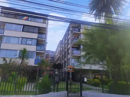 Arriendo temporario de departamento en Vi&ntilde;a del mar