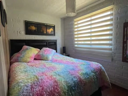 Arriendo temporario de departamento en Puc&oacute;n