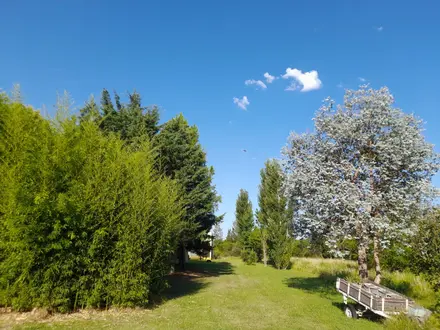 Alquiler temporario de casa en Gualeguaych&uacute;