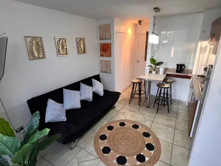 Arriendo temporario de departamento en Vi&ntilde;a del mar