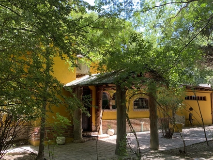 Alquiler temporario de casa quinta en San rafael