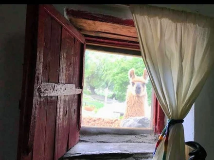 , Alquiler temporario de casa en La carolina,cerros largos antu ruca