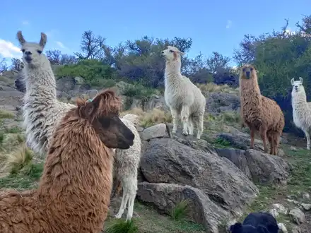Alquiler temporario de casa en La carolina,cerros largos antu ruca