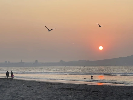 Arriendo temporario de departamento en Coquimbo