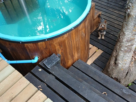 Arriendo temporario de caba&ntilde;a en Temuco comuna de padre las casas