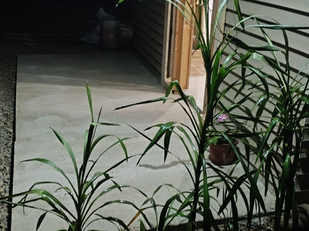 Arriendo temporario de caba&ntilde;a en Choapa