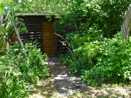 Alquiler temporario de caba&ntilde;a en San clemente del tuyu