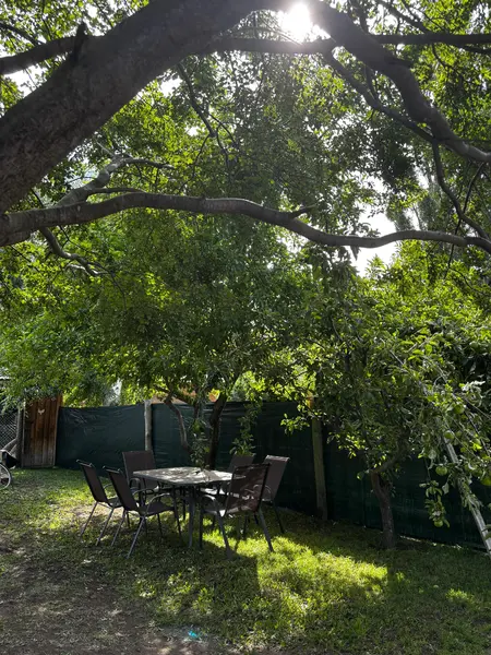 Alquiler temporario de apartamento em San martin de los andes