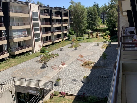 Arriendo temporario de departamento en Pucon