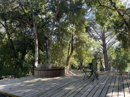 Arriendo temporario de caba&ntilde;a en Caut&iacute;n