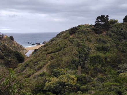 Arriendo temporario de departamento en Algarrobo