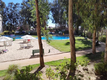 Arriendo temporario de departamento en Algarrobo