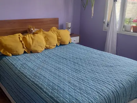 Alquiler temporario de casa en Lago puelo