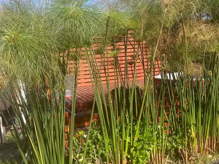 Arriendo temporario de casa en Choapa