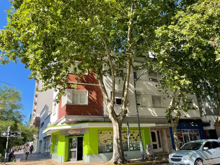 Alquiler temporario de departamento en Mar del plata