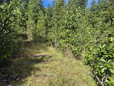 Arriendo temporario de caba&ntilde;a en Nilque