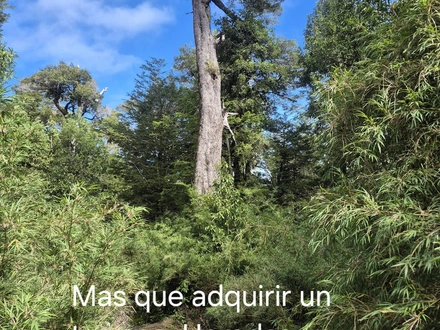 Arriendo temporario de caba&ntilde;a en Nilque