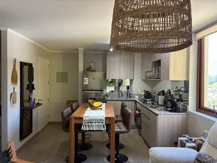 Arriendo temporario de departamento en Pucon