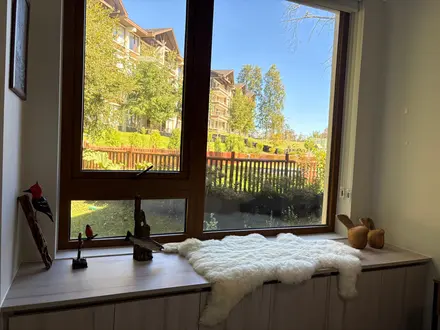 Arriendo temporario de departamento en Pucon