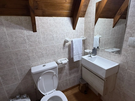 Alquiler temporario de caba&ntilde;a en San mart&iacute;n de los andes