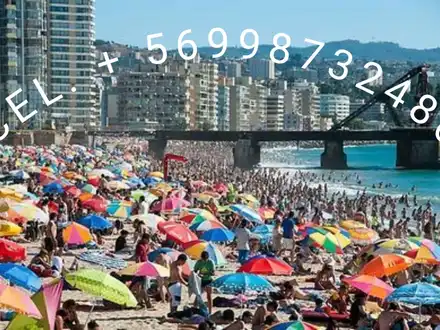 Arriendo temporario de caba&ntilde;a en Vi&ntilde;a del mar
