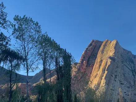 Alquiler temporario de casa en Juella