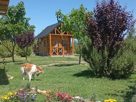 Alquiler temporario de caba&ntilde;a en San rafael
