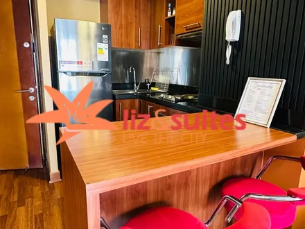 Arriendo temporario de departamento en Providencia