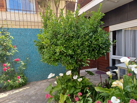 Alquiler temporario de casa em Necochea