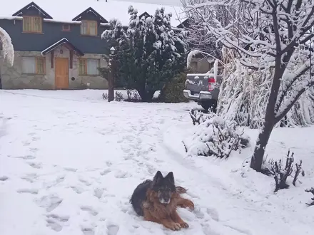 Alquiler temporario de caba&ntilde;a en San mart&iacute;n de los andes