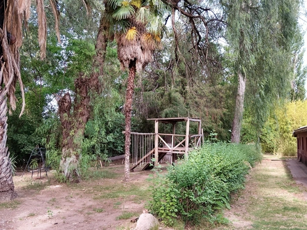 Alquiler temporario de casa quinta en San rafael