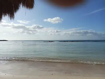Alquiler temporario de departamento en Puerto aventuras