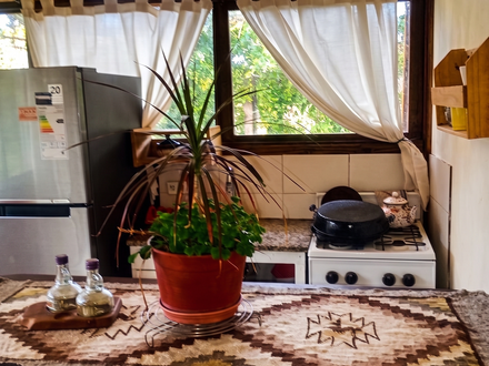 Alquiler temporario de casa en Villa gesell