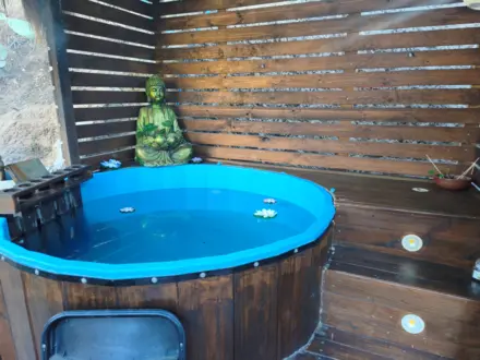 Arriendo temporario de cabana em Olmue narvaez