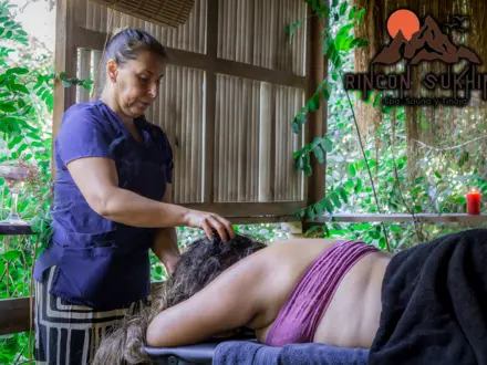 Arriendo temporario de cabana em Olmue narvaez