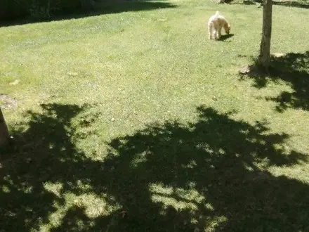 Alquiler temporario de casa em Malarg&uuml;e