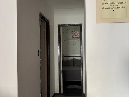 Alquiler temporario de departamento en Mar del plata