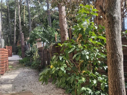 , Alquiler temporario de casa en Mar azul, villa gesell