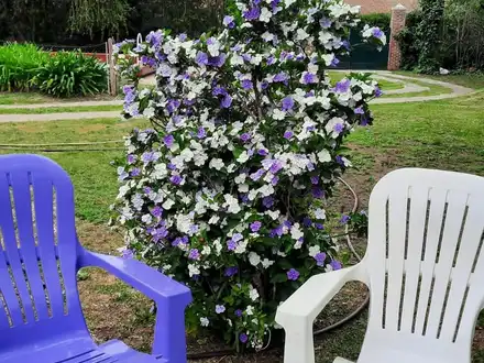 Alquiler temporario de casa de campo em Villa elisa