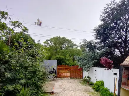 Alquiler temporario de caba&ntilde;a en Miramar