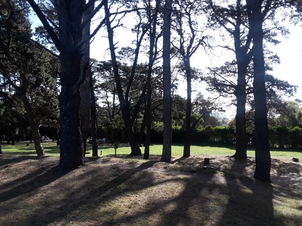 Alquiler temporario de departamento en Balcarce