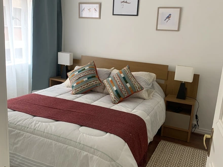 Arriendo temporario de departamento en Santiago