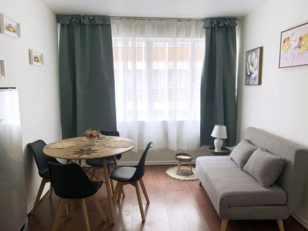 Arriendo temporario de departamento en Santiago