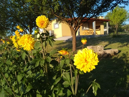 Alquiler temporario de casa em Arroyo de los patos