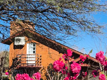 Alquiler temporario de caba&ntilde;a en Carpinter&iacute;a