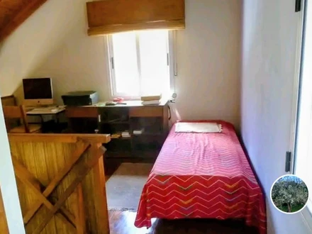 , Alquiler temporario de casa en Balneario orense