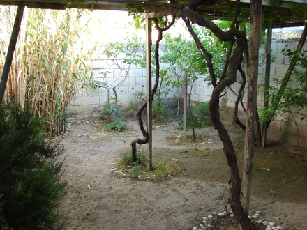 Alquiler temporario de casa en Las grutas