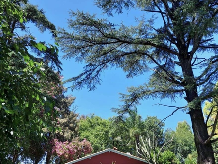 Alquiler temporario de casa en Paso del rey,  moreno